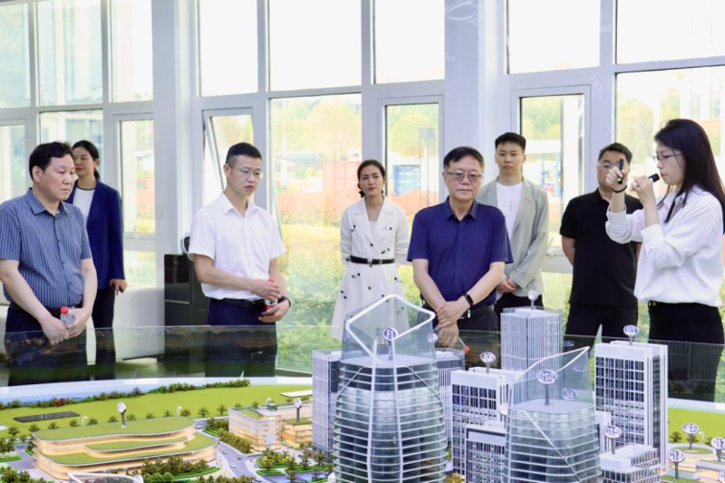 九三學社湖南省委會到港晨公司綜合體項目開展專題調研