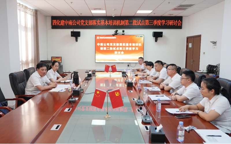 中國(guó)化學(xué)四化建基層黨組織落實(shí)基本培訓(xùn)機(jī)制第二批試點(diǎn)第三季度學(xué)習(xí)研討①